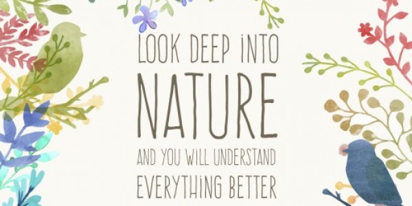 Food Forest South Africa